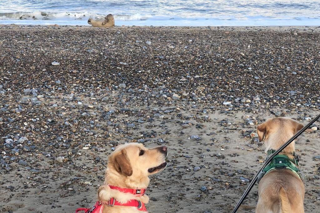 Dog Friendly Cottage 2 Mins To Beach With Hot Tub And Zappi Ev Lessingham Eksteriør bilde