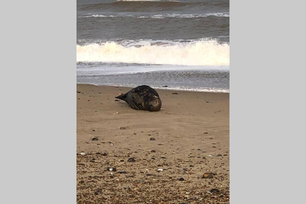Dog Friendly Cottage 2 Mins To Beach With Hot Tub And Zappi Ev Lessingham Eksteriør bilde